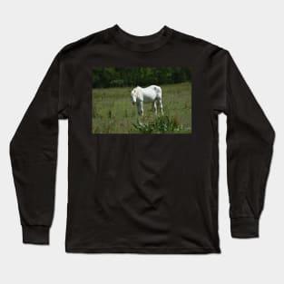 Wild Horse Long Sleeve T-Shirt